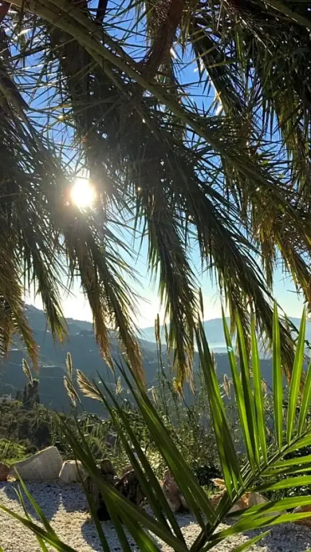 Casa B Bed & Breakfast