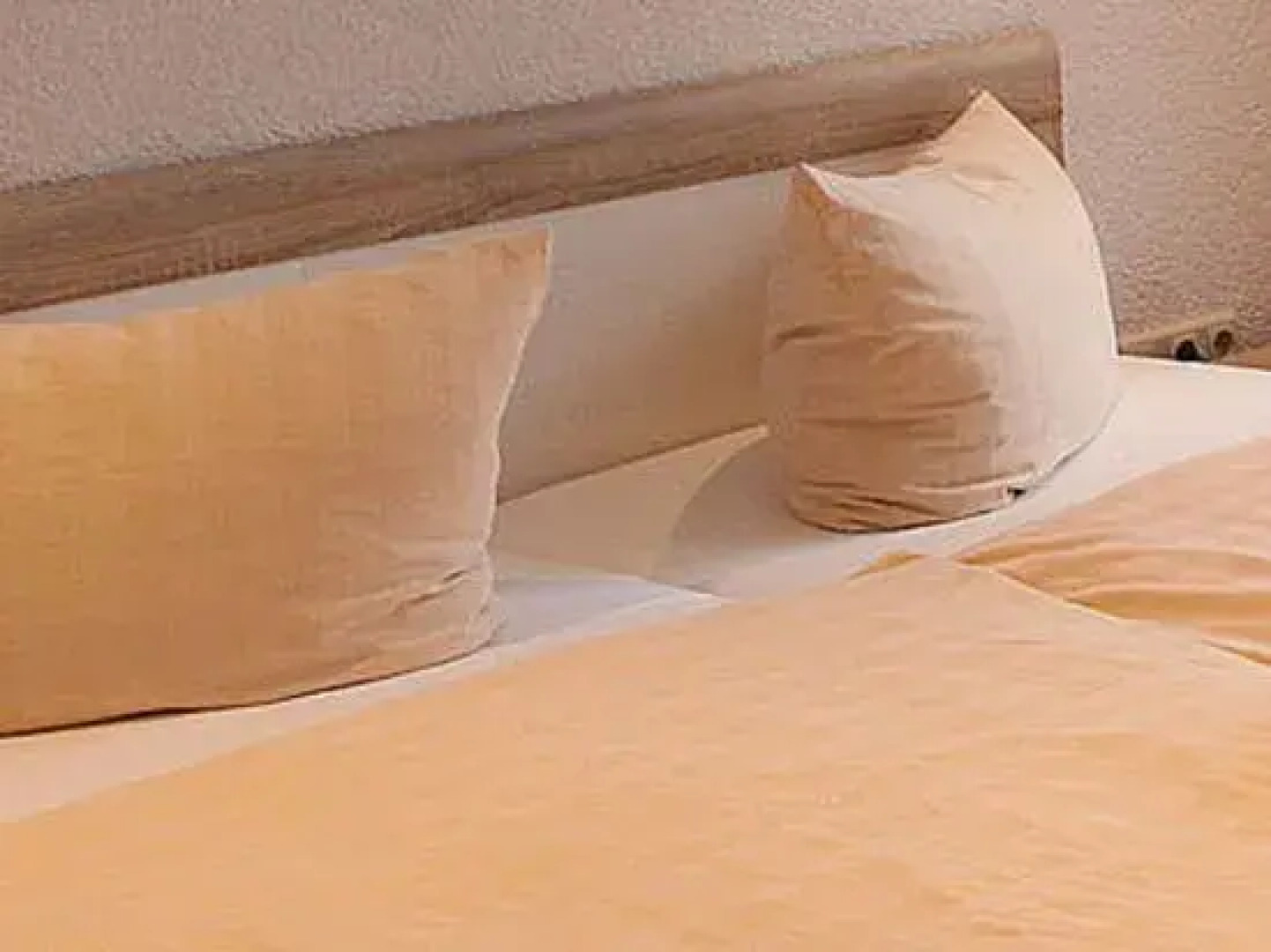 Pension & Gasthof Storchennest