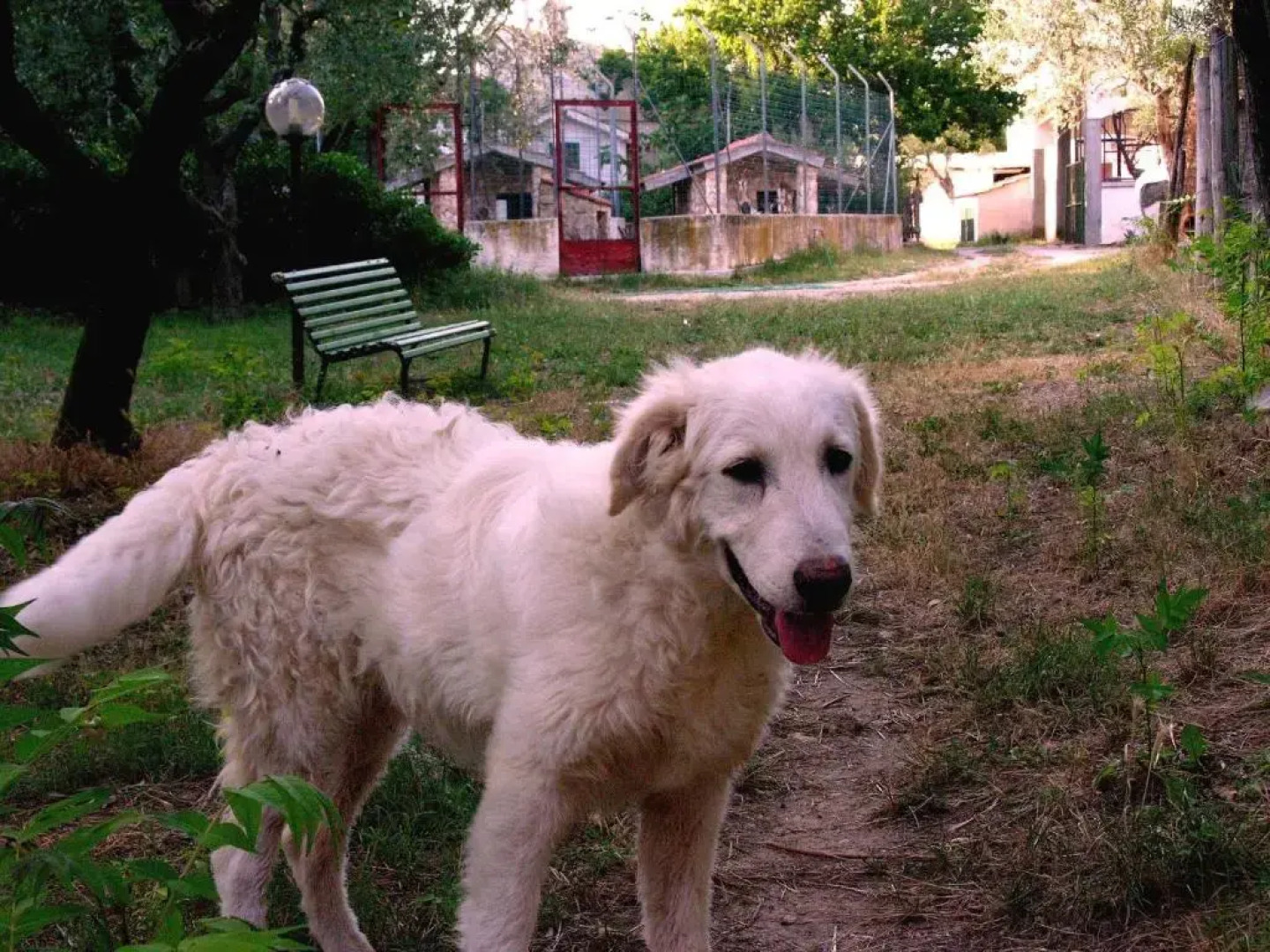 Agriturismo Valle Verde