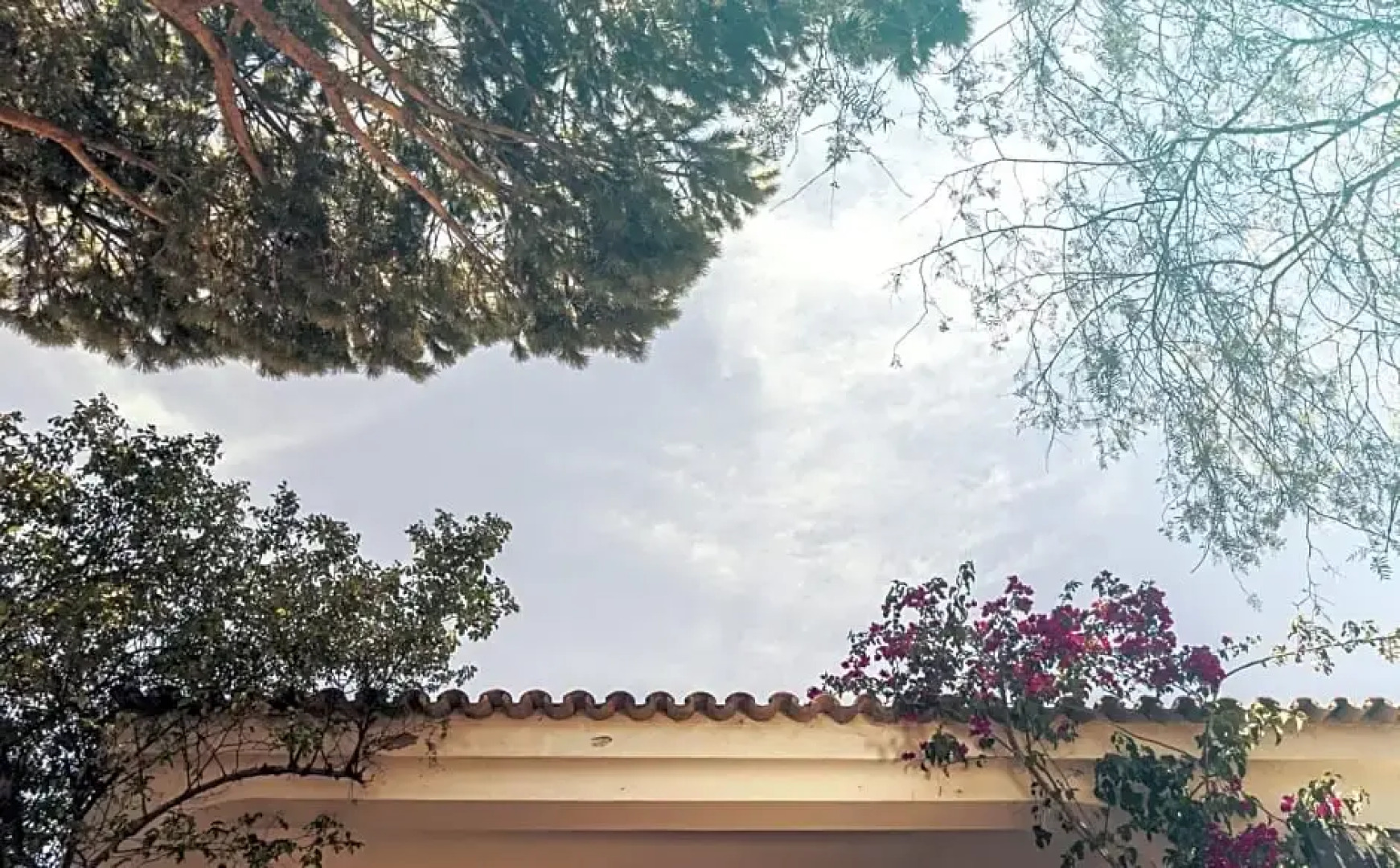 Pine House - Faro Airport, Beach and City Center