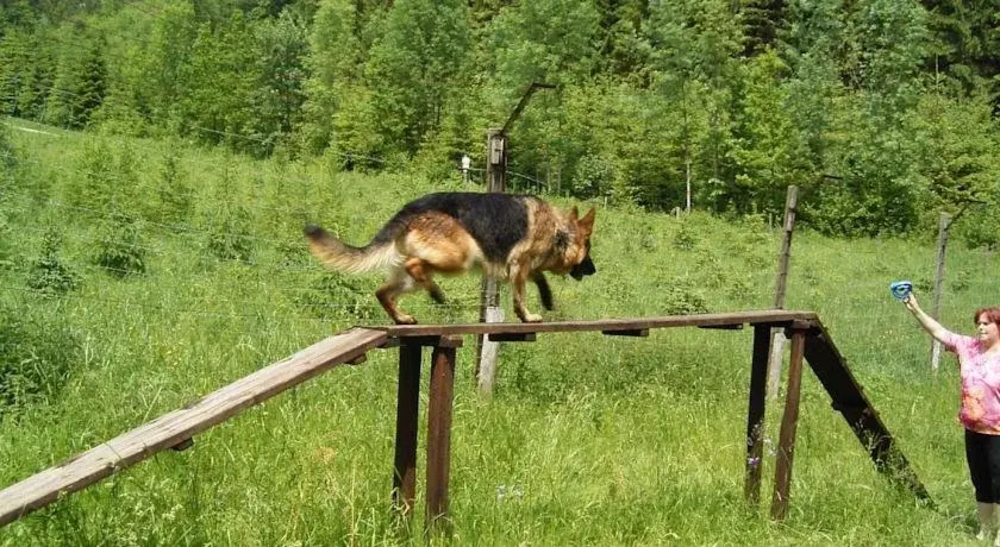 Alpenhotel Jagdhof Breitenthal