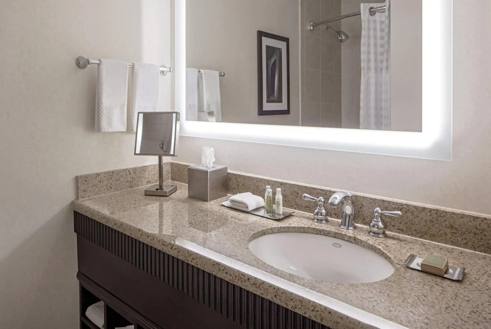 DoubleTree Suites by Hilton Hotel Minneapolis