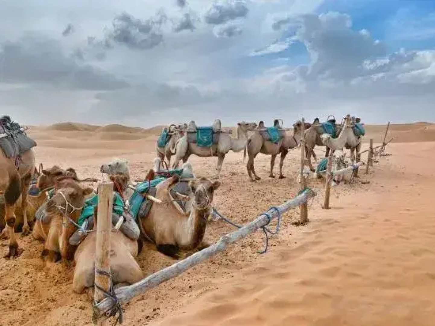Zhongwei Daxing Night Desert Camp
