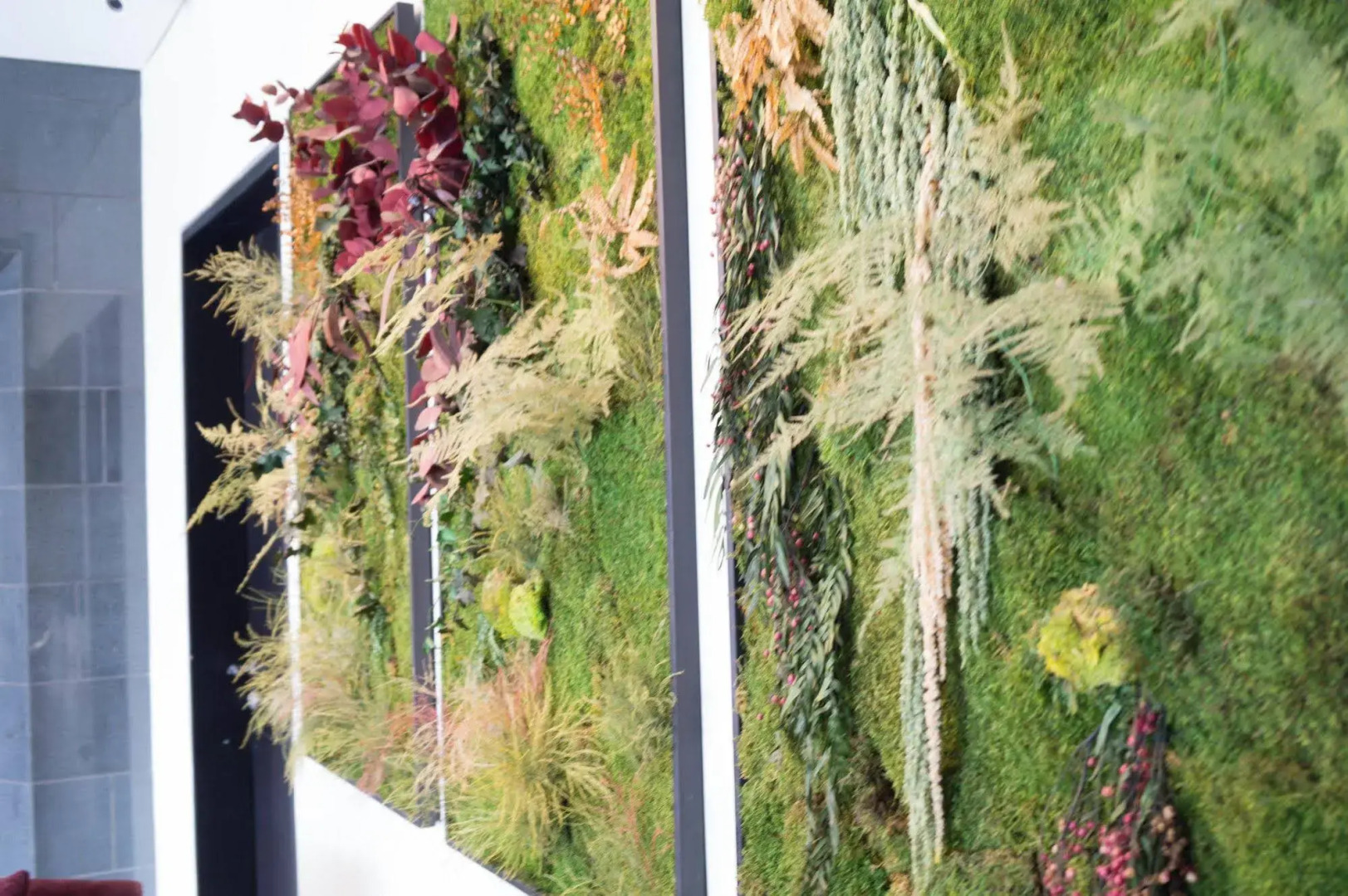 Wellness Hotel Usaquen