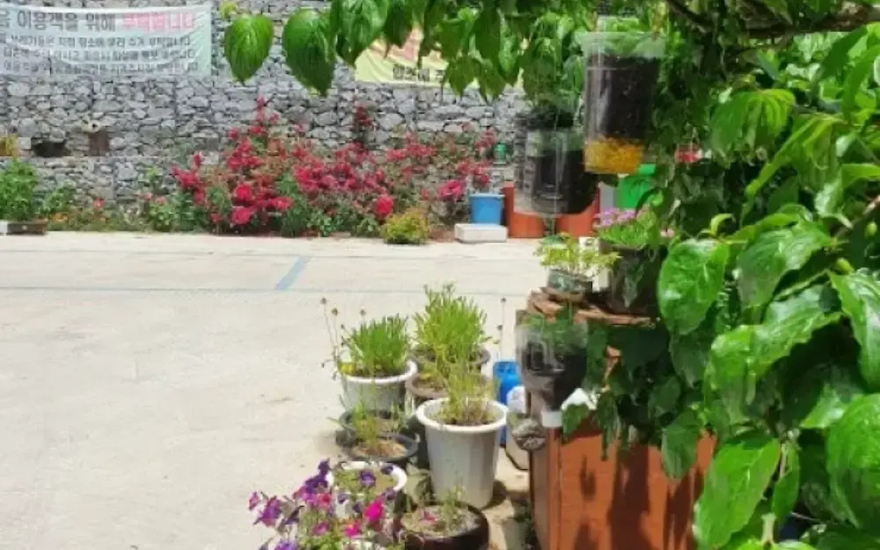 Yecheon Mulmalgeun Sangol Pension