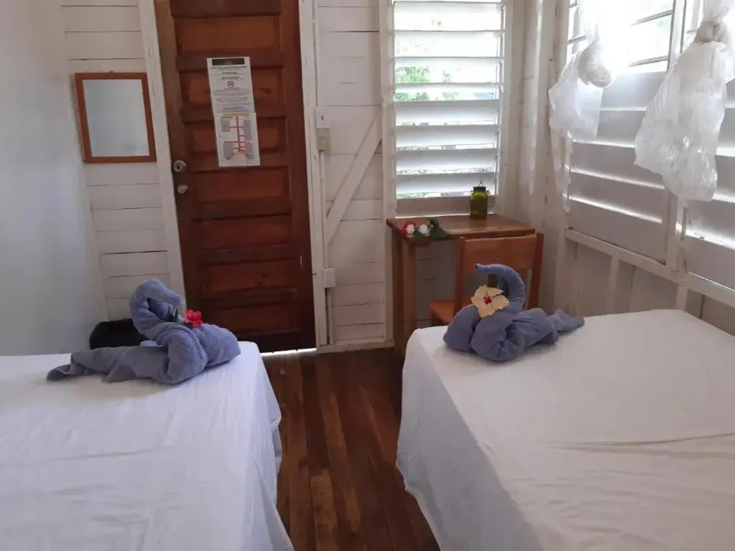 The Funky Dodo Backpackers Hostel