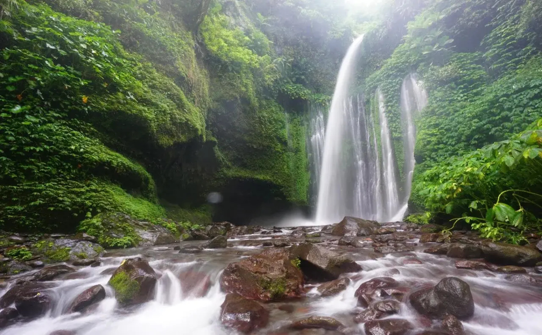 Maria Guest House And Trekking Organizer