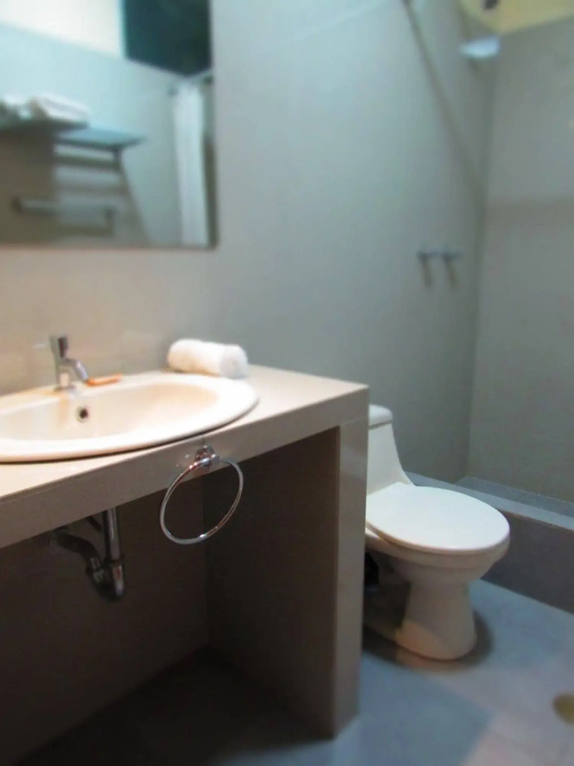 Palau Amazonas Hotel