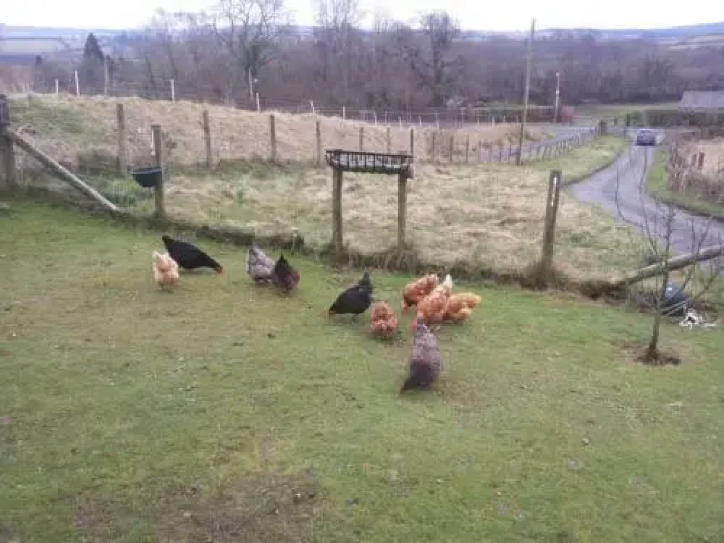 ReallyCoolAccomodation