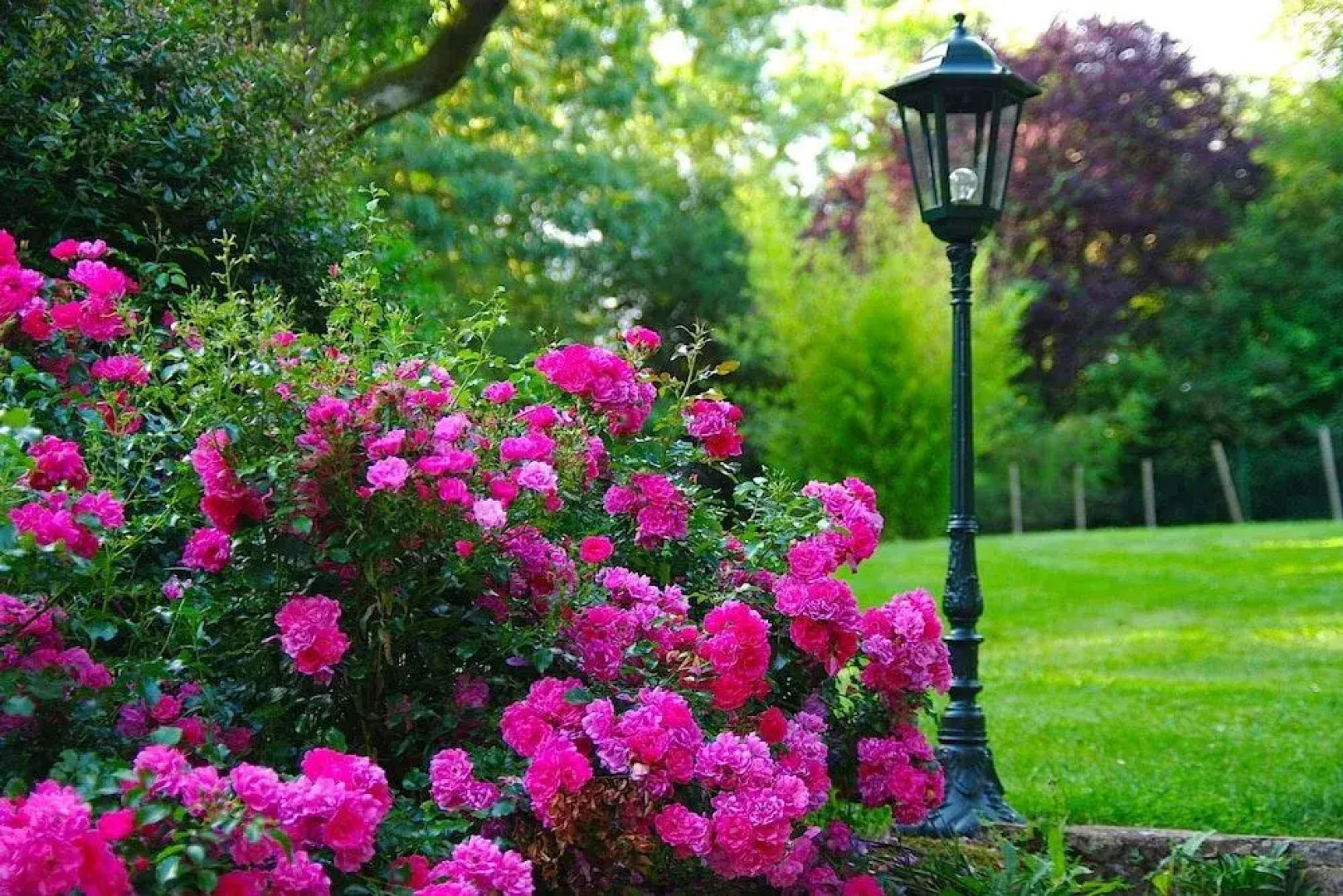 Au Manoir des Forges