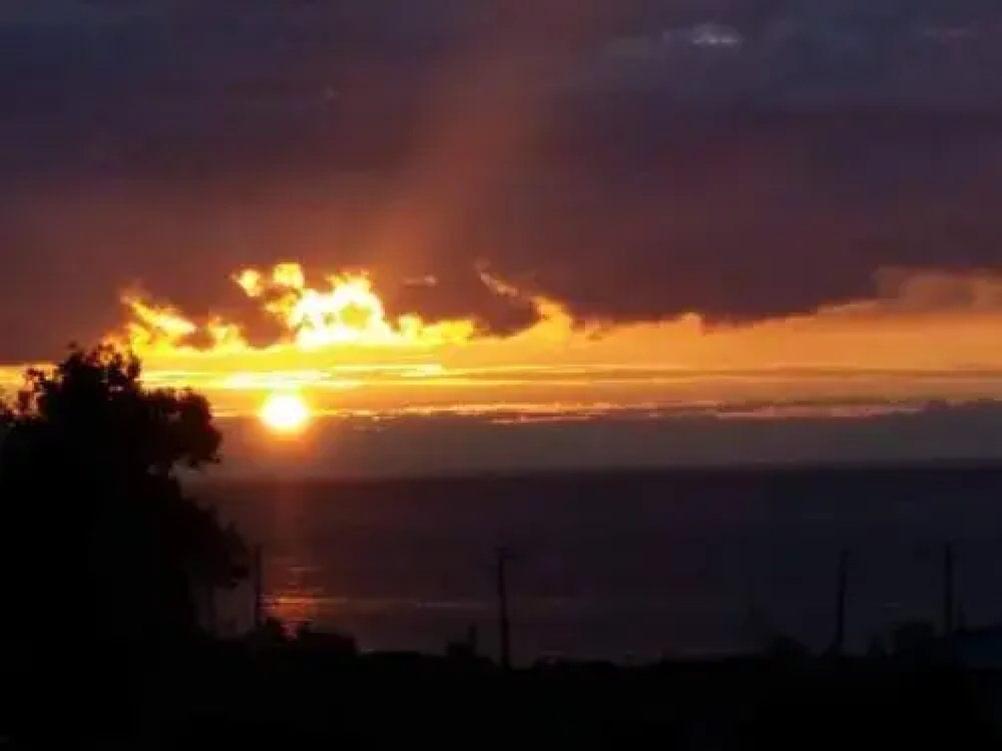 Guest House Domashni