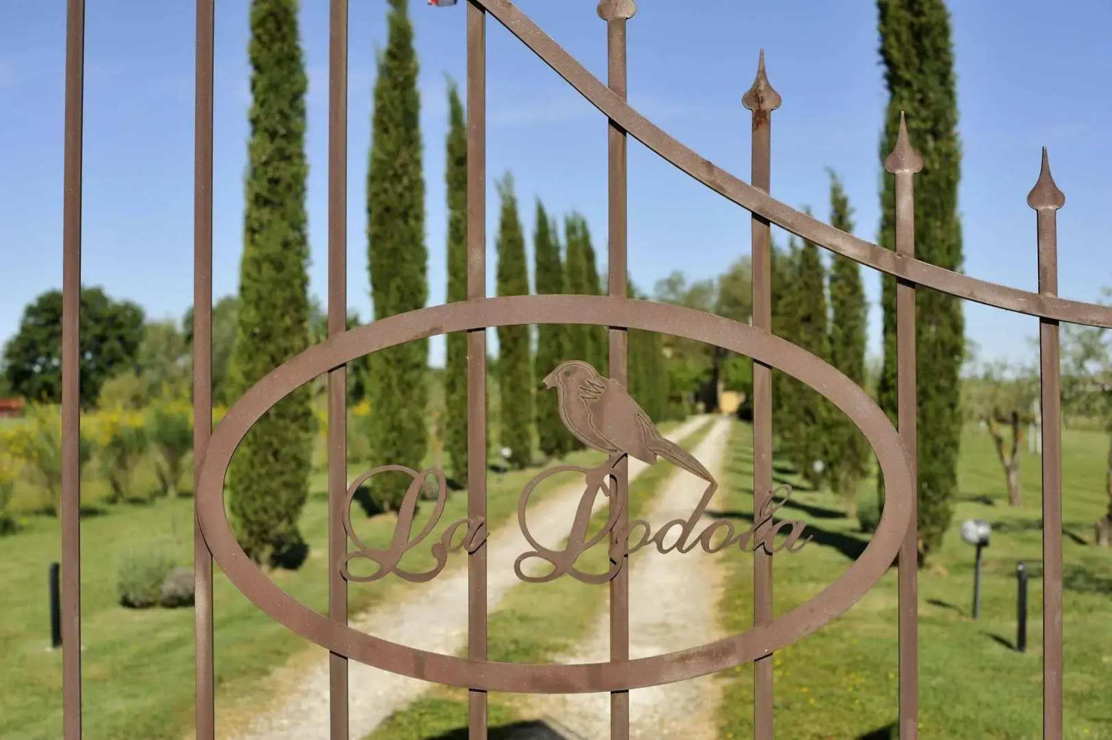 Agriturismo La Lodola