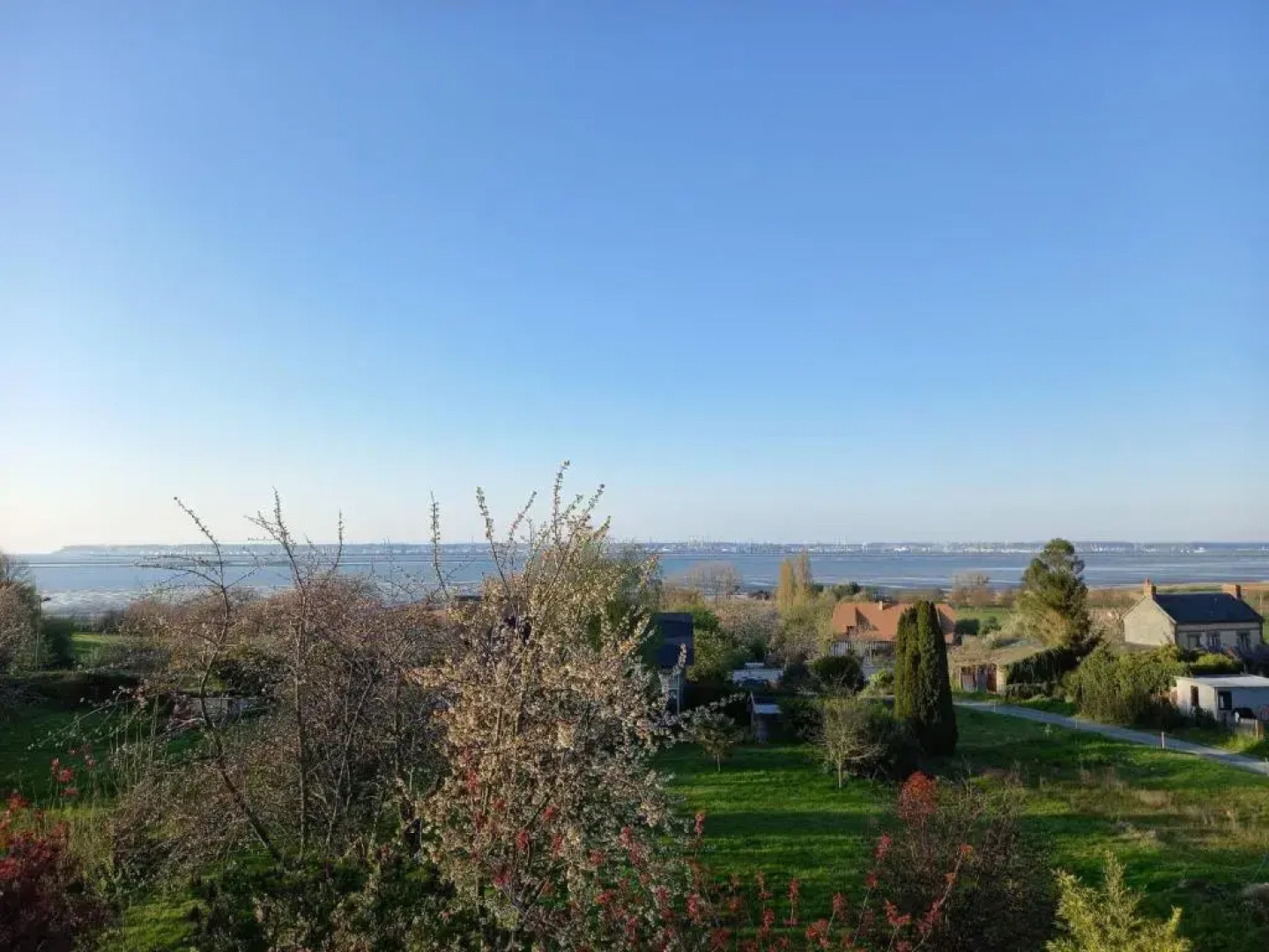 Les Lys (Adults Only)