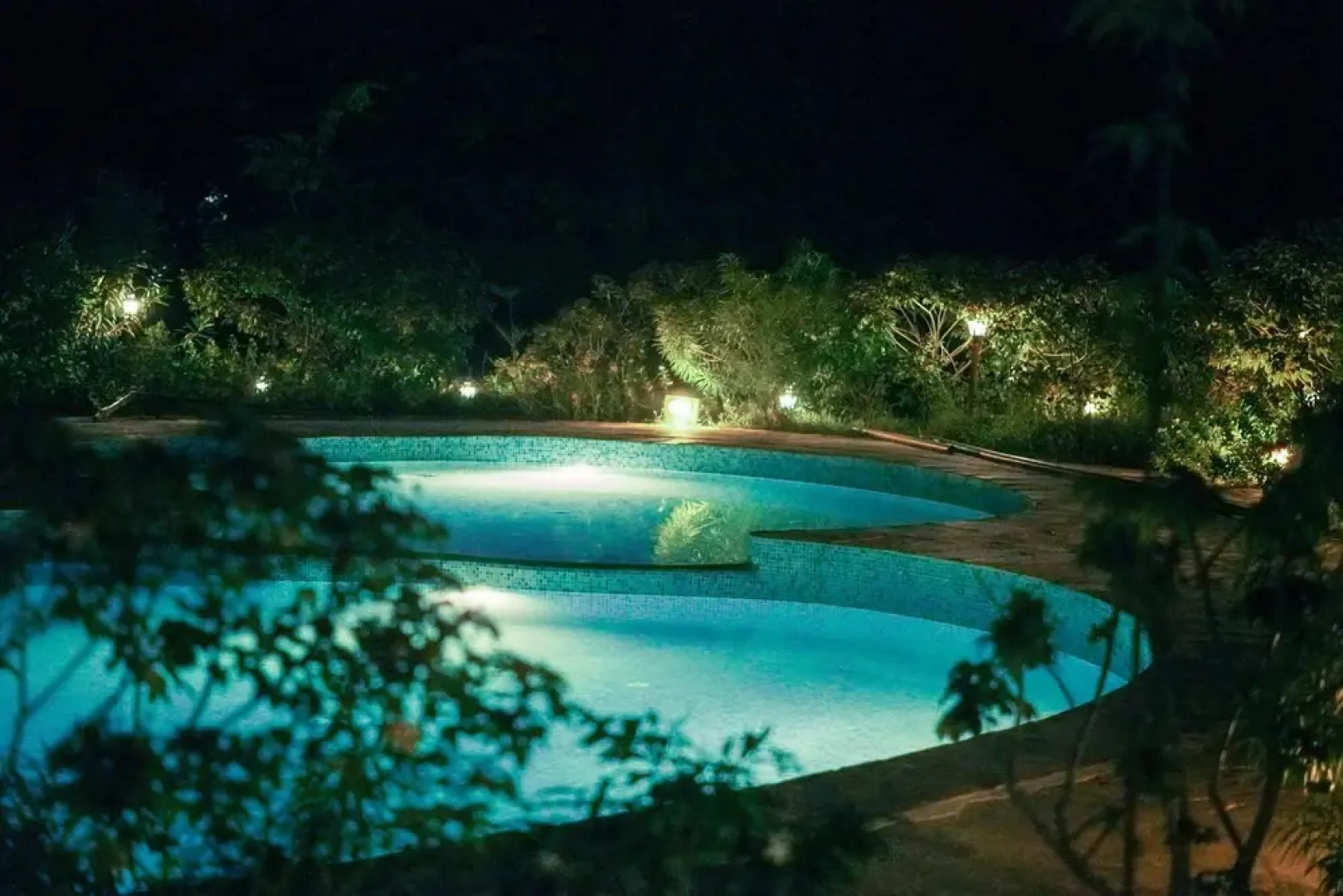 The Earth At Ranthambore