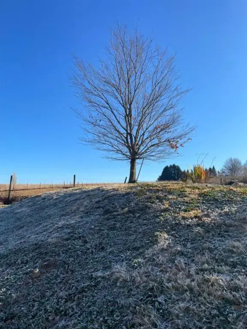 Kwasani Country House