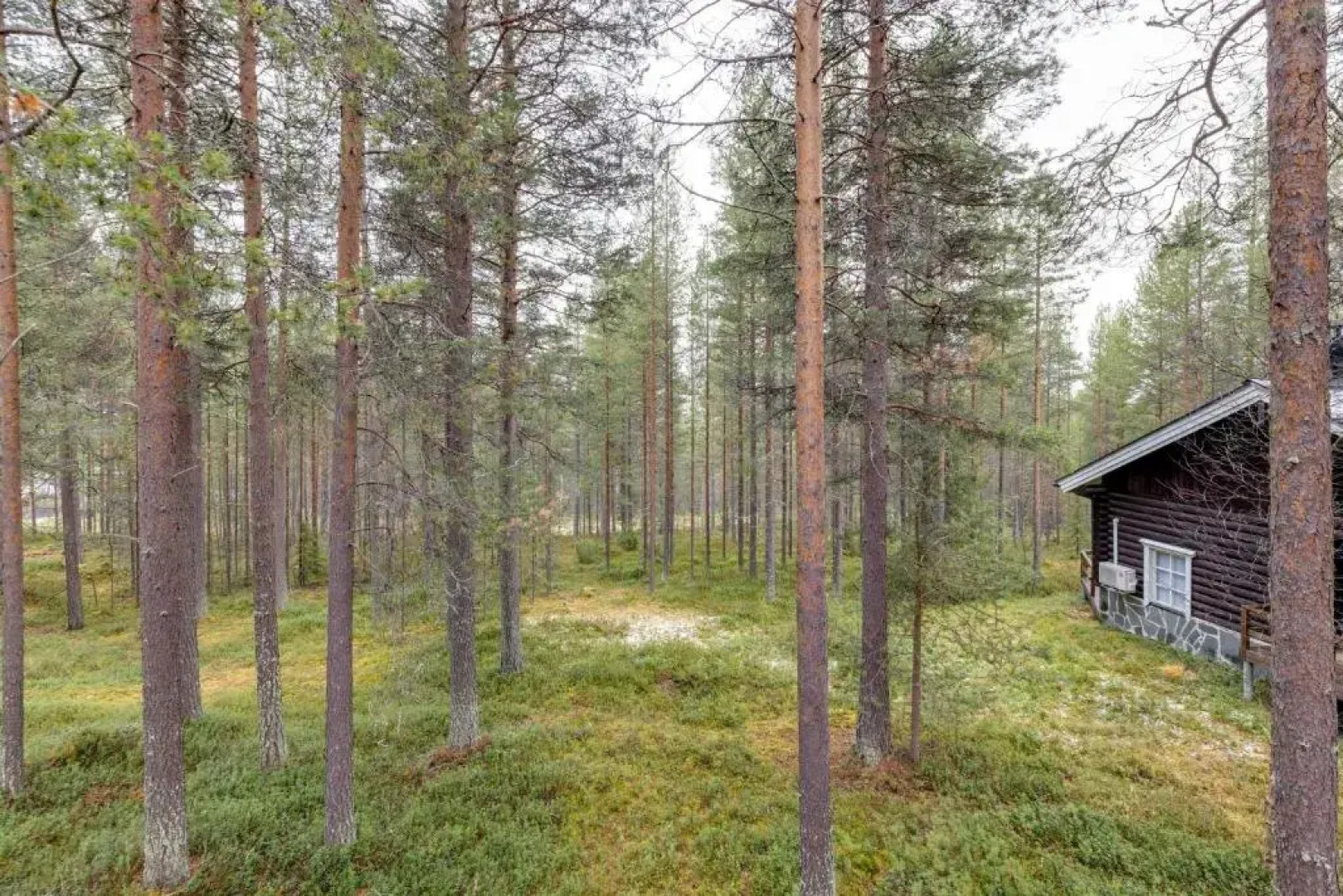 Alppirinne - Tunnelmallinen loma-asunto Suomulla