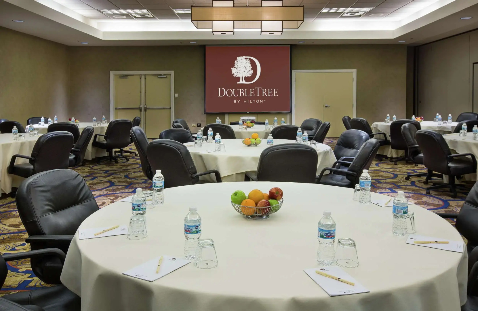 DoubleTree by Hilton Chicago O'Hare Airport - Rosemont