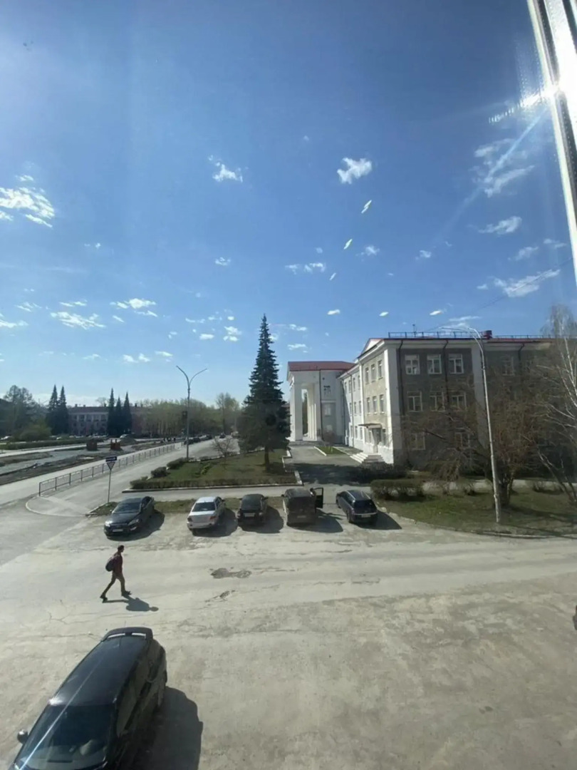 Желтый Нарцисс на улице Уральская