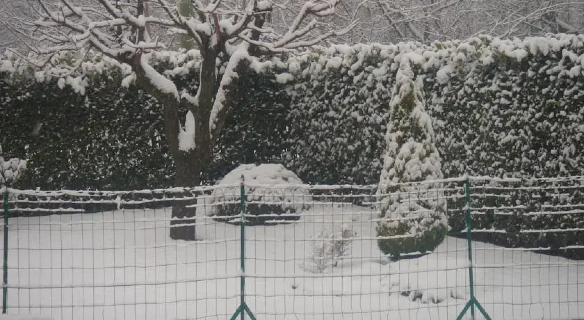 Bed & Breakfast Barbara