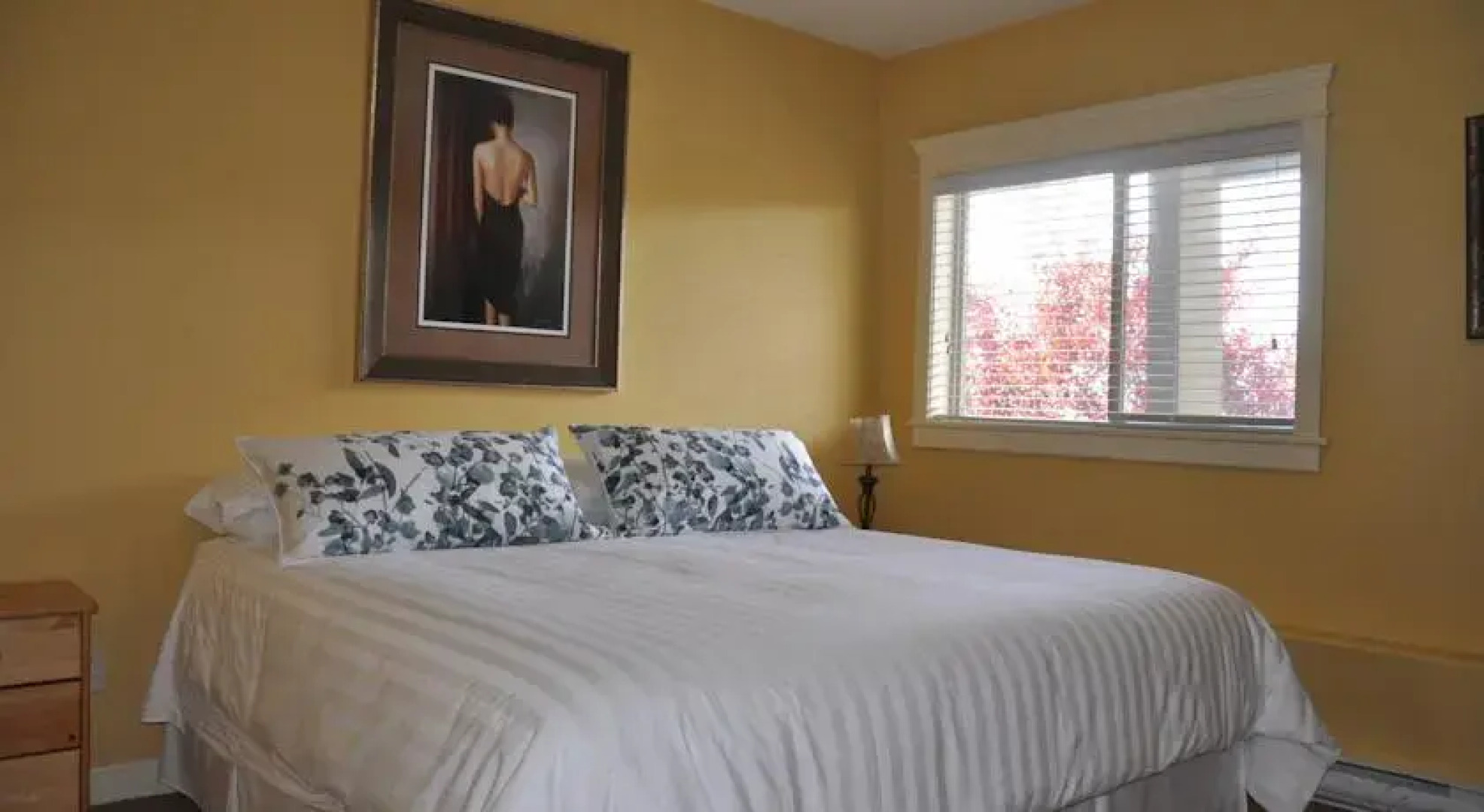 Lakeview Suites & Vacation Rentals