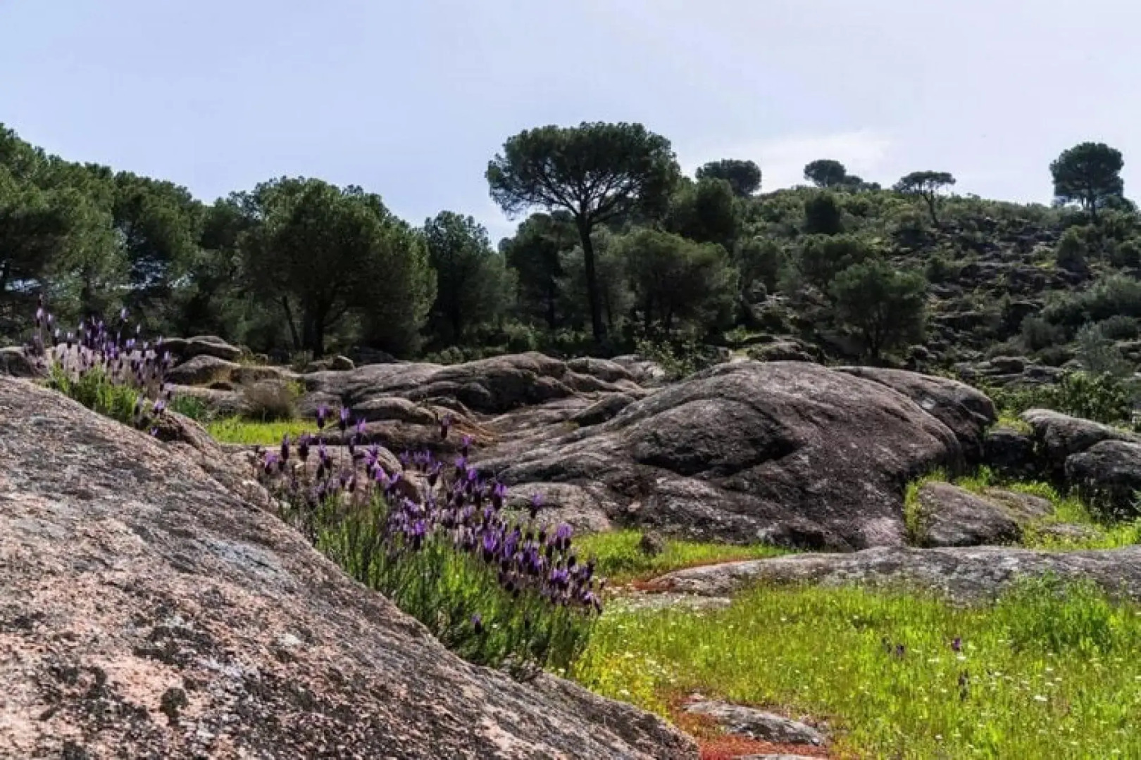 Holiday Home 3, Cordoba