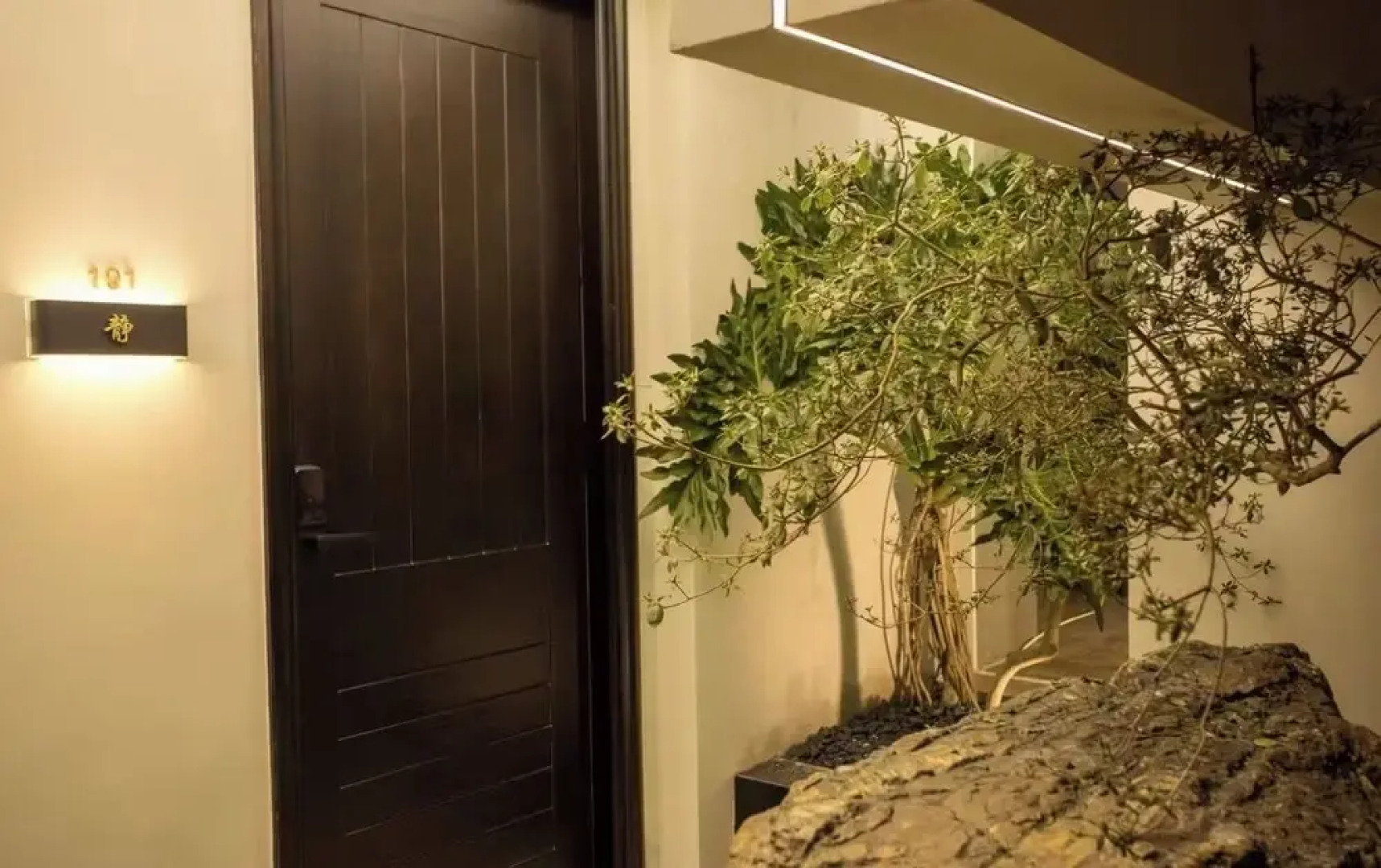 SHANHELISONGDAIMEIXUETINGYUAN