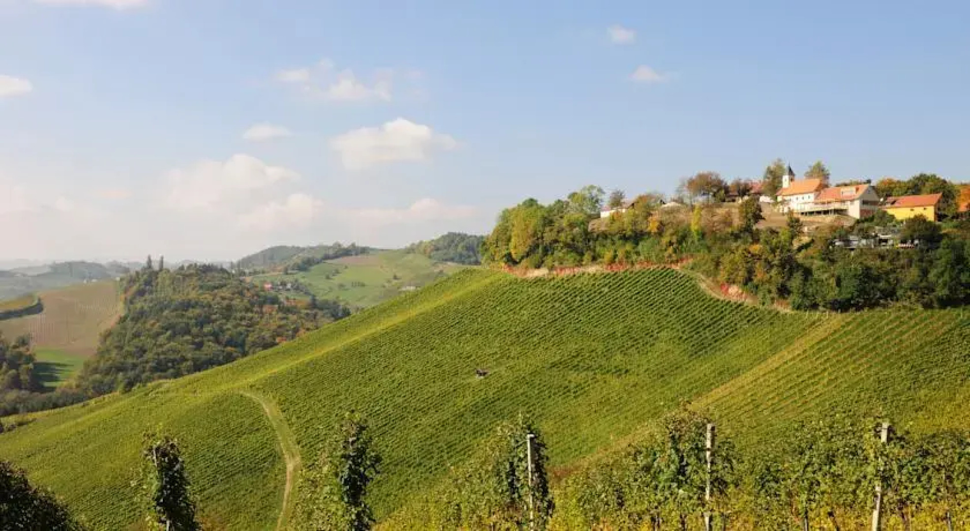 Winzarei, Weingut Tement