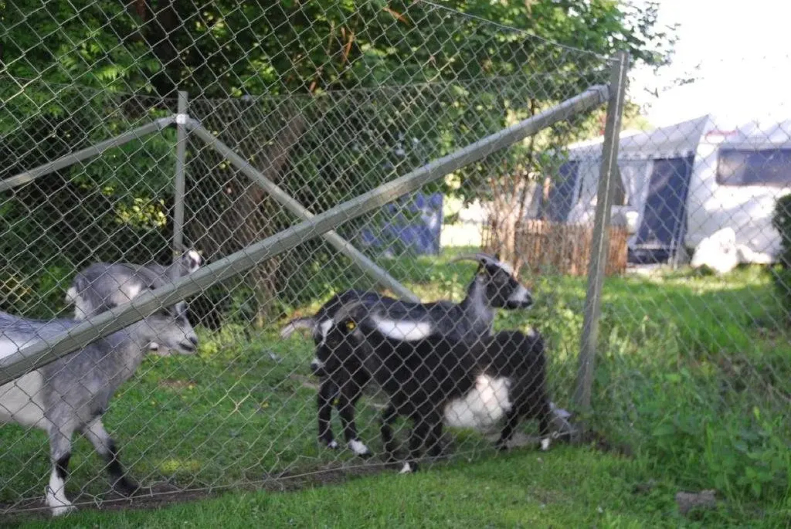 First Camp Bøsøre Strand  Fyn