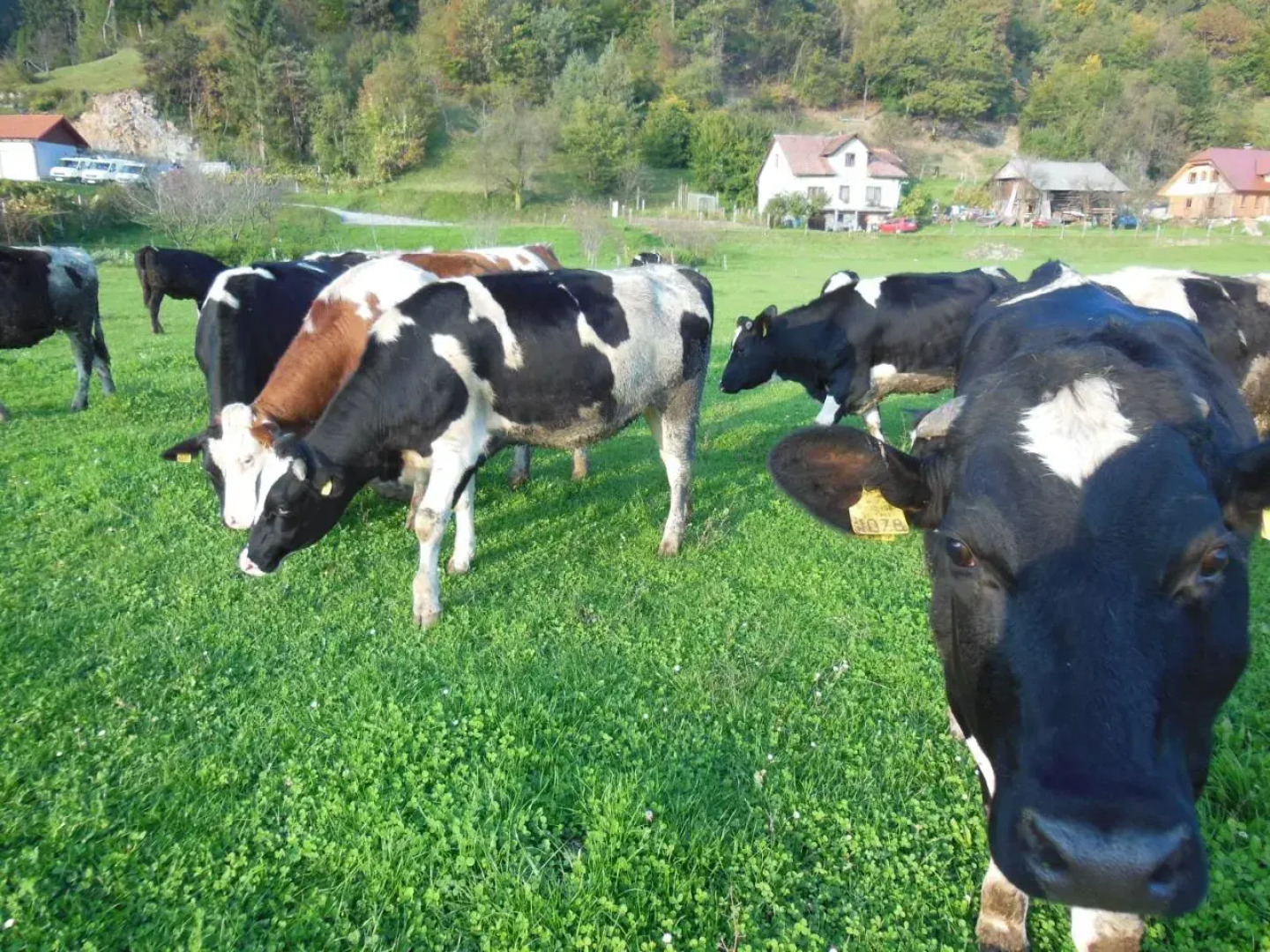 Sport Center Prodnik