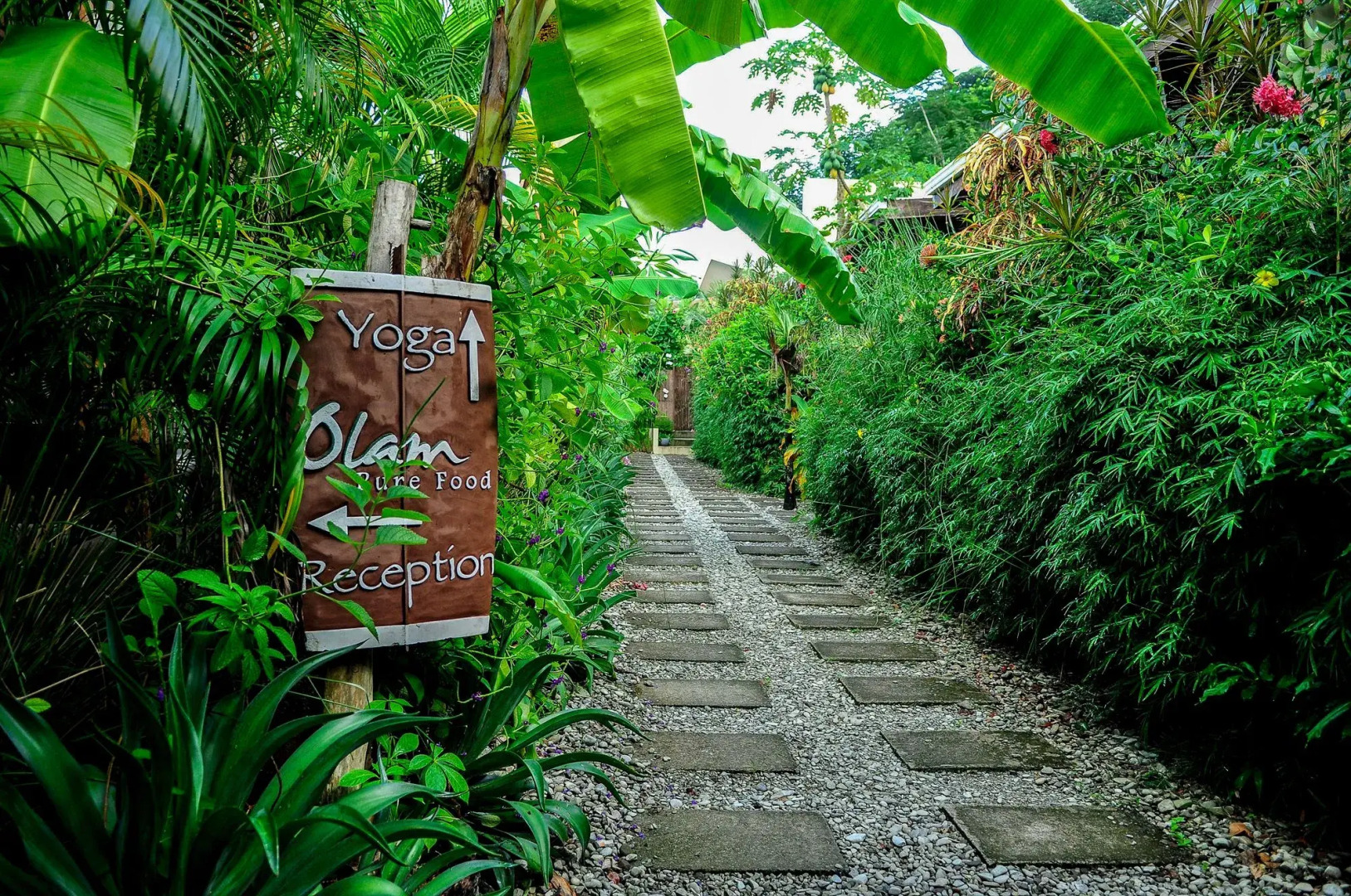 Nautilus Surf & Yoga Villas Santa Teresa