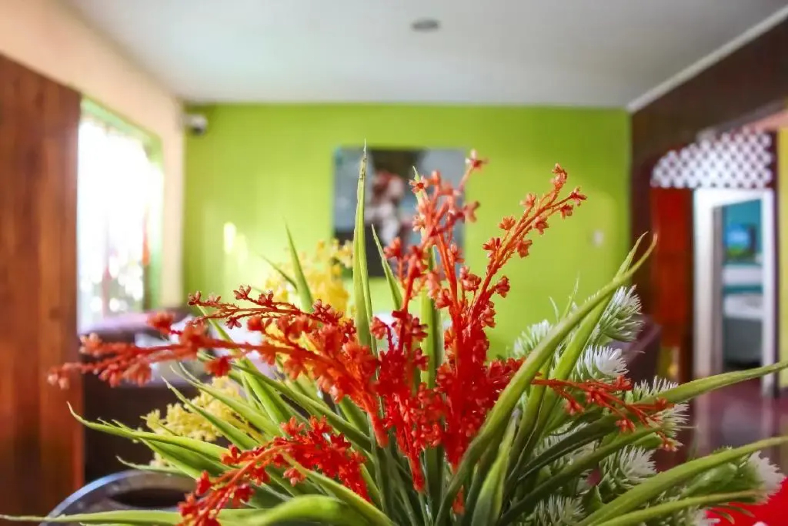 Hostal Casa Mauro