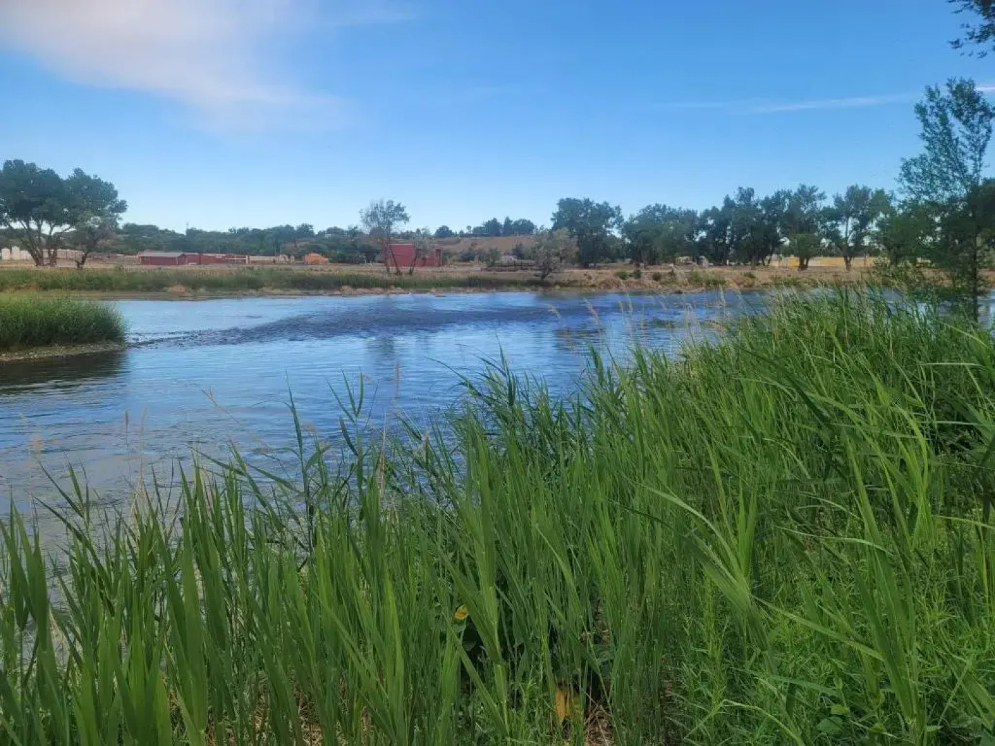 Riverwood Inn Hotel Premiere Double Queen Suite