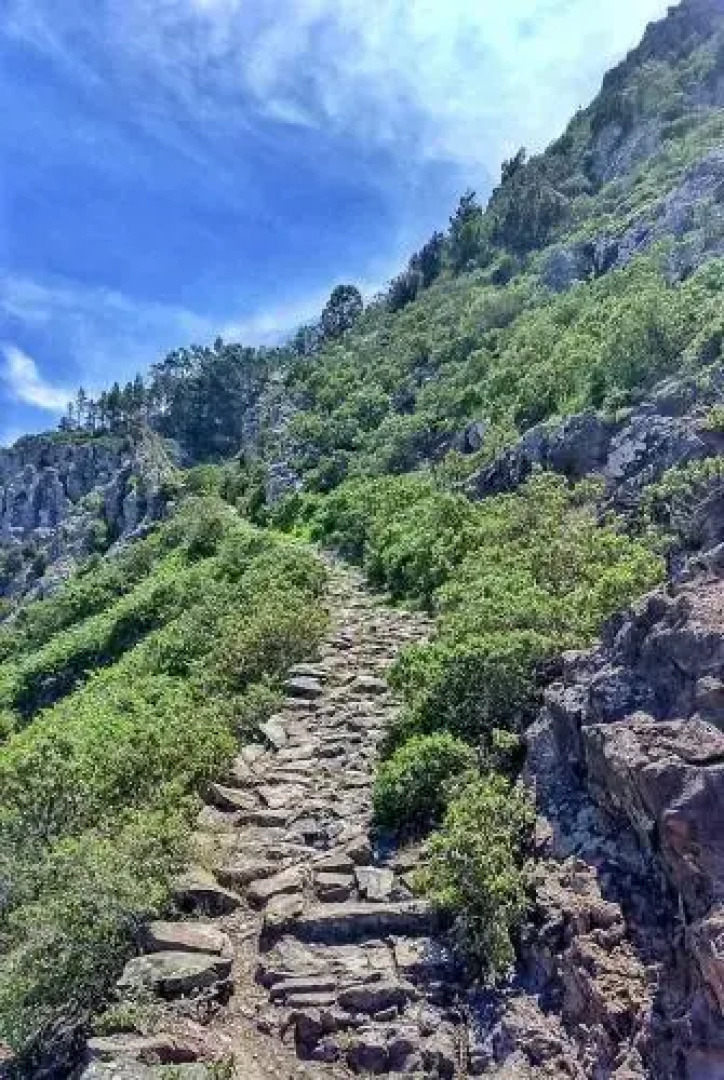 Apartamento Playa Agaete