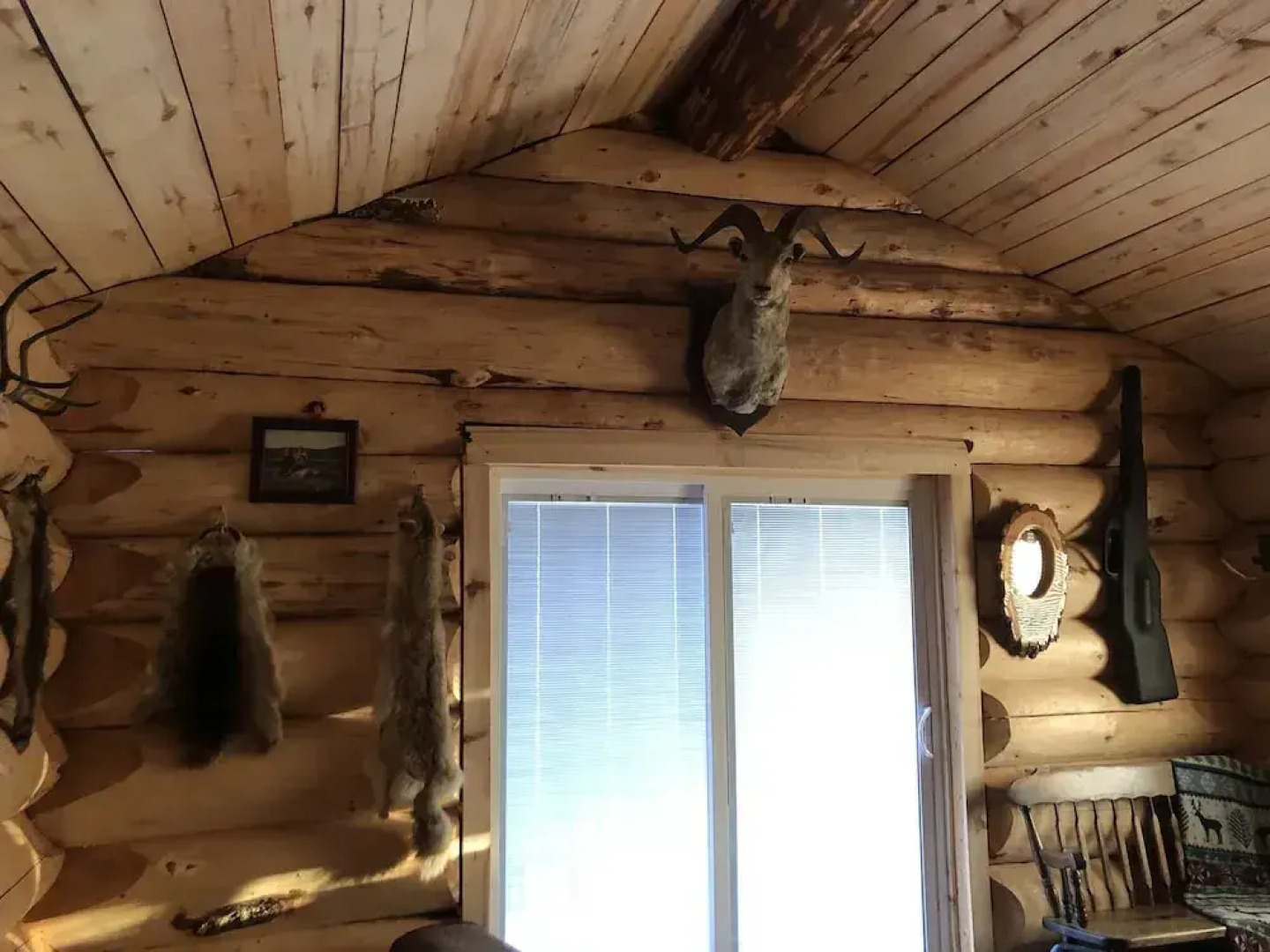 Wrangell Mountain Lodge