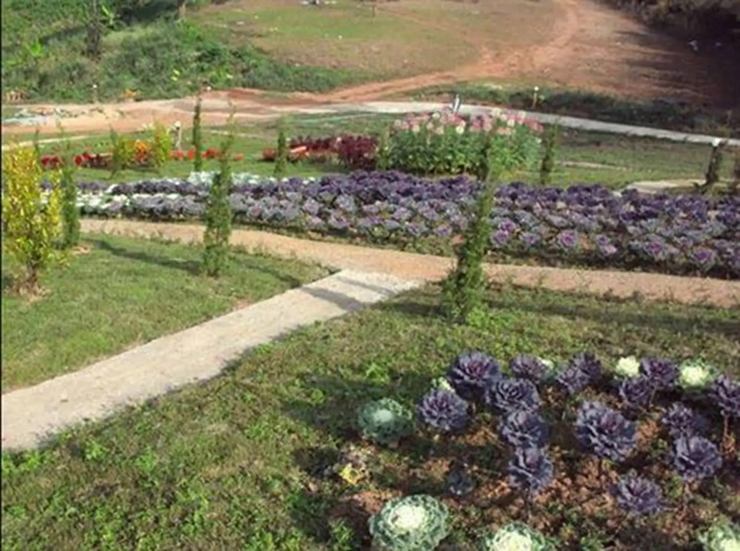 Phu Mok Dok Mai Resort