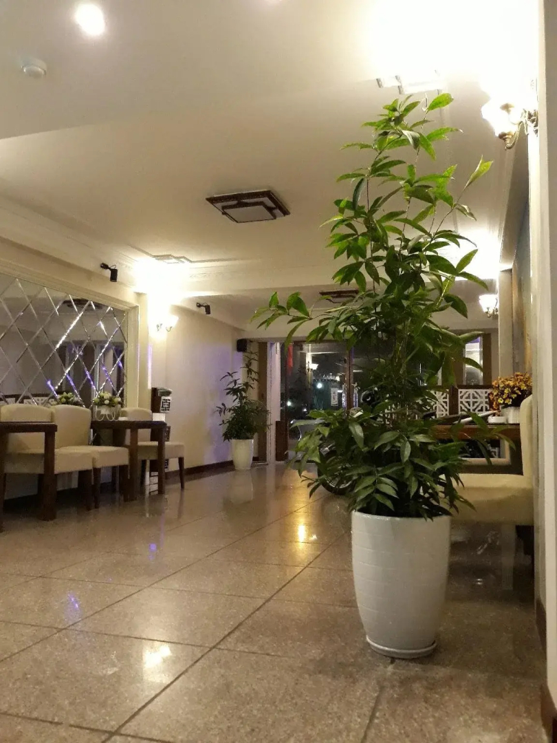 Purple Lotus Hotel