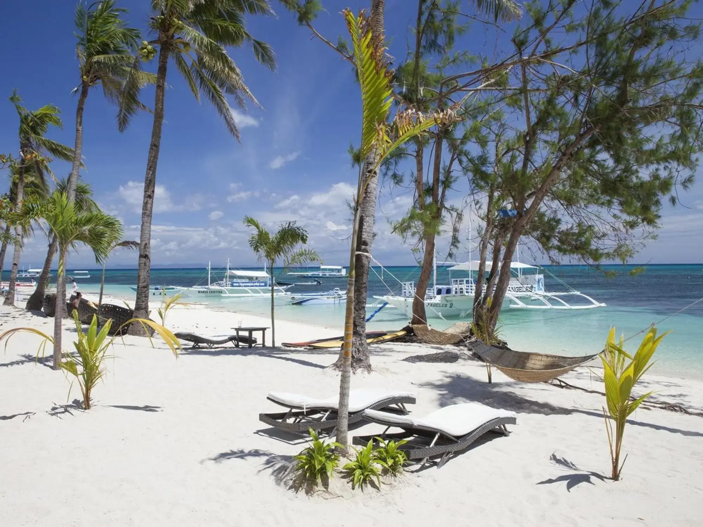 Ocean Vida Beach and Dive Resort