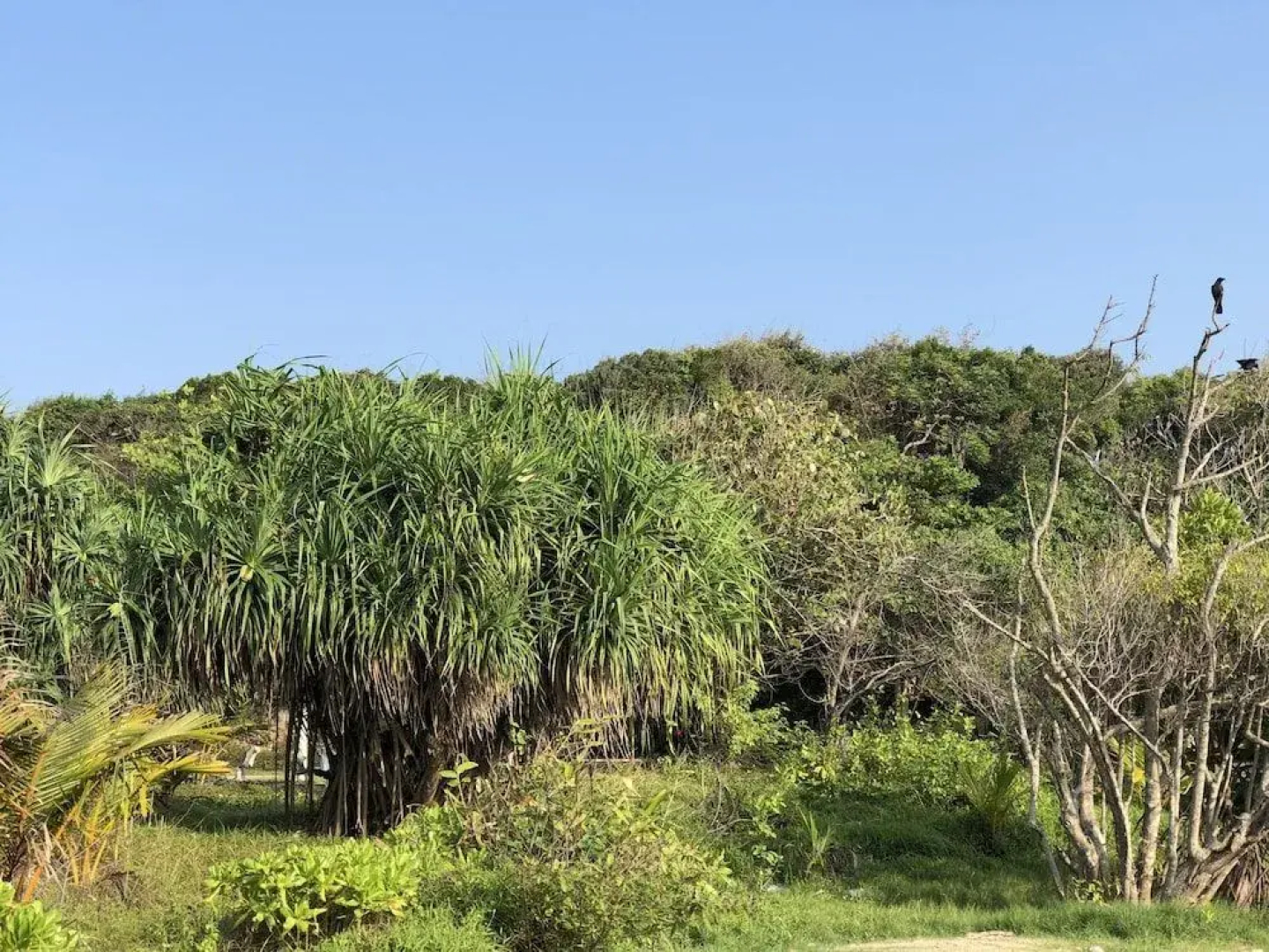 Bliss Bay Nilaveli