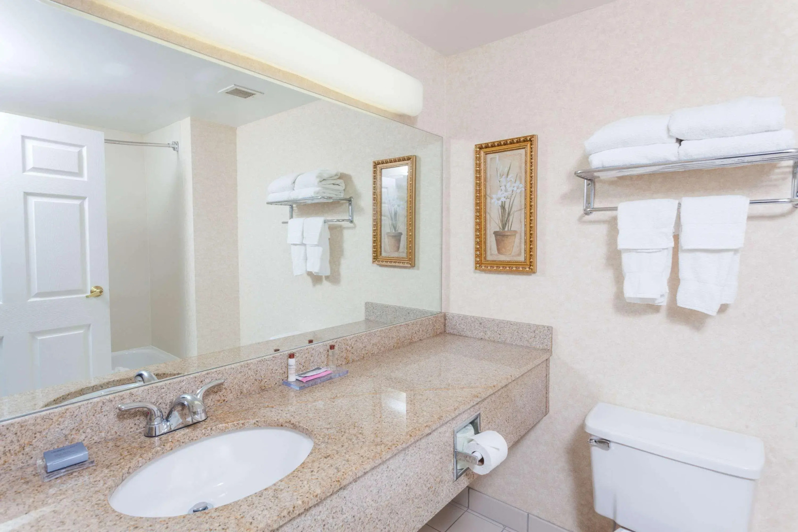 Wingate by Wyndham Atlanta/Six Flags Austell