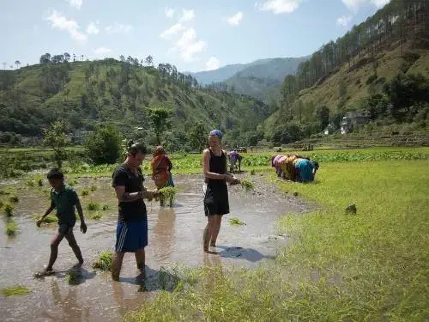 Binsar Valley River Camp