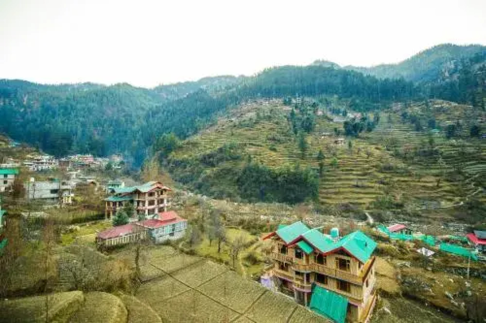 OYO 27666 Hotel Cedar View