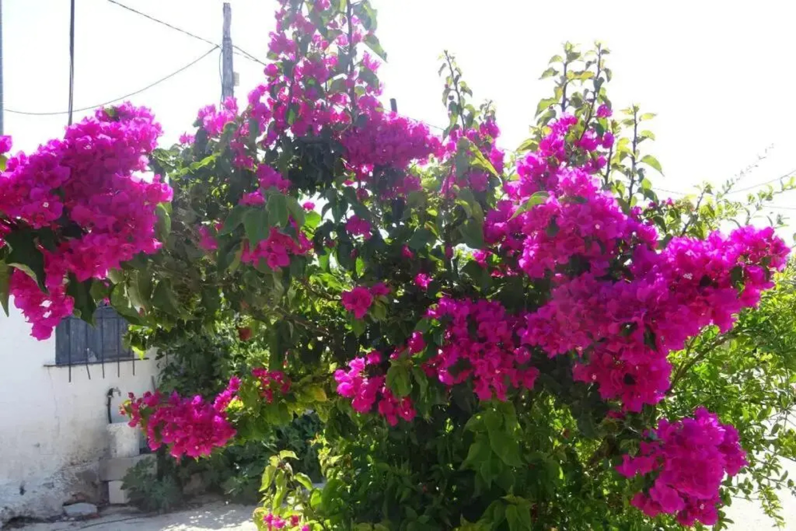 Aldea del Sol, 4 persons appartement, Family only