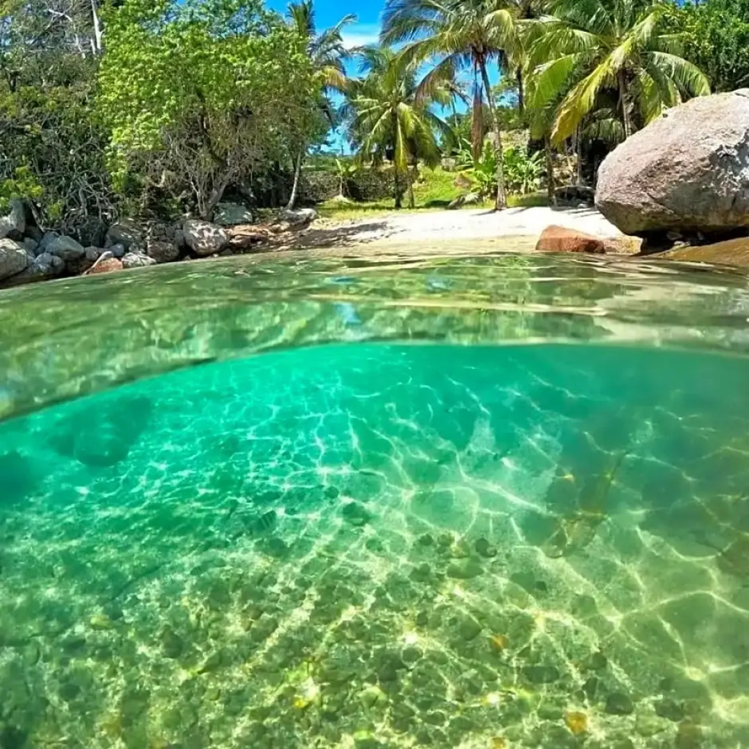Recanto Toca das Plantas de Ilhabela I