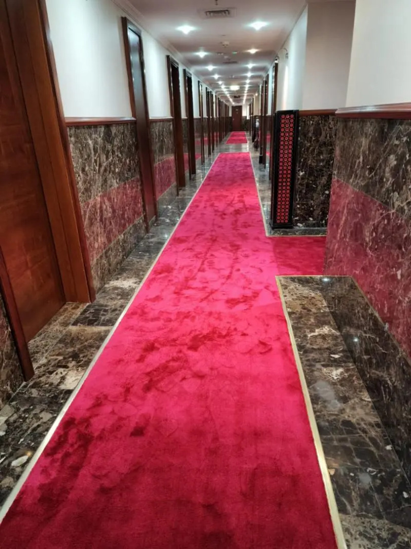 Sun And Sands Downtown Hotel