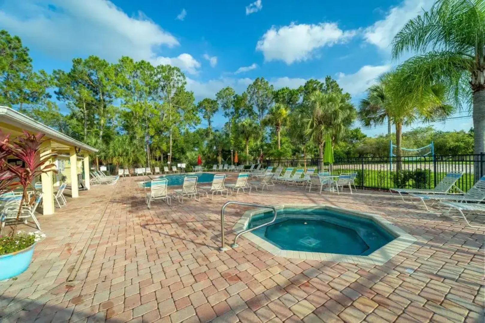 Mickey's Backyard Neighbor!