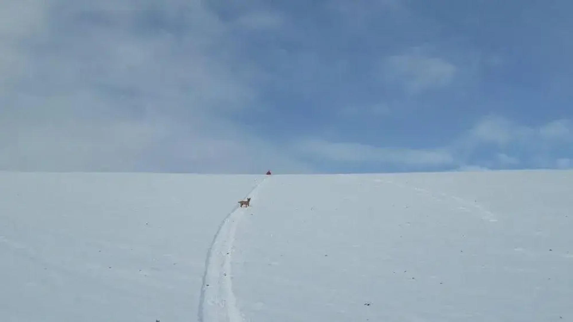 Azienda Agrituristica Colle San Giorgio