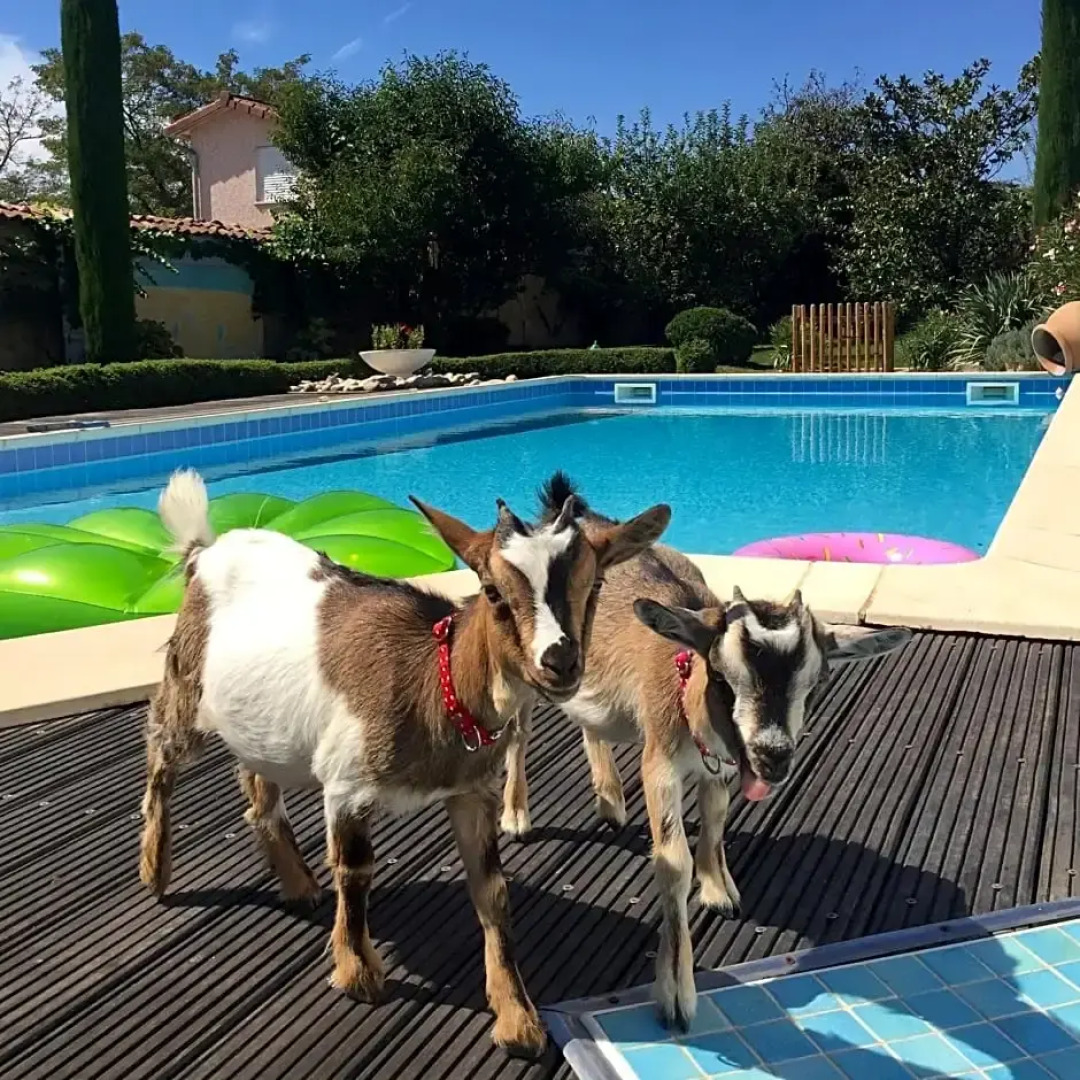 B&B Insolite entre Lyon et aéroport