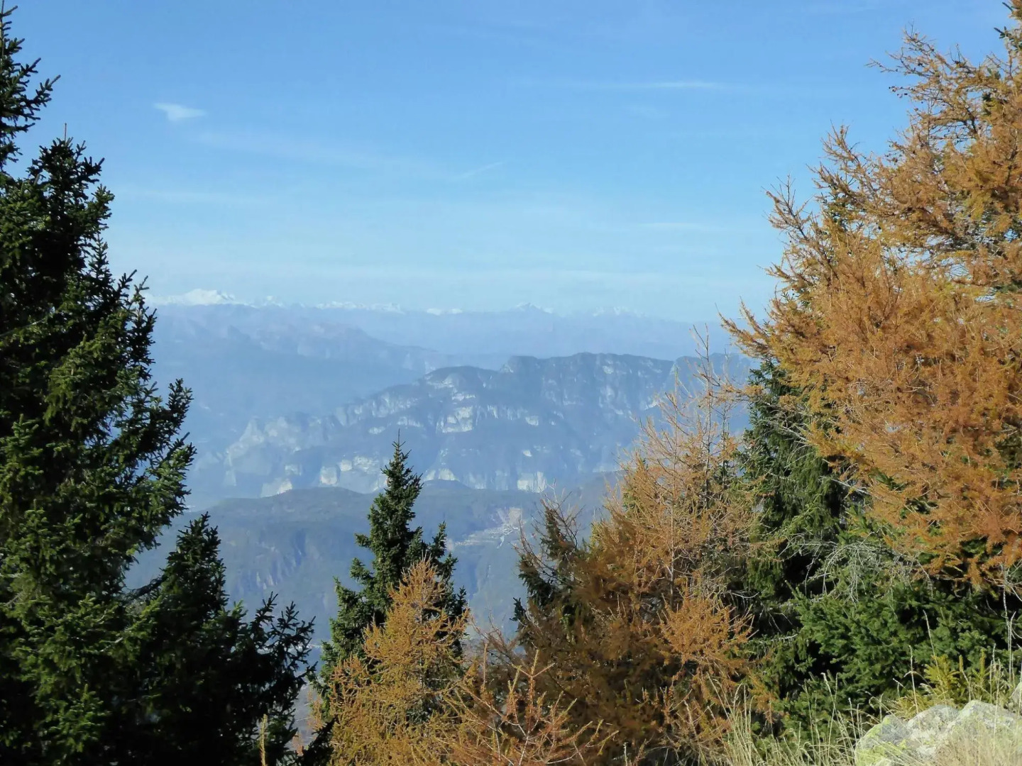Wooden chalet in Pieve Tesino with garden