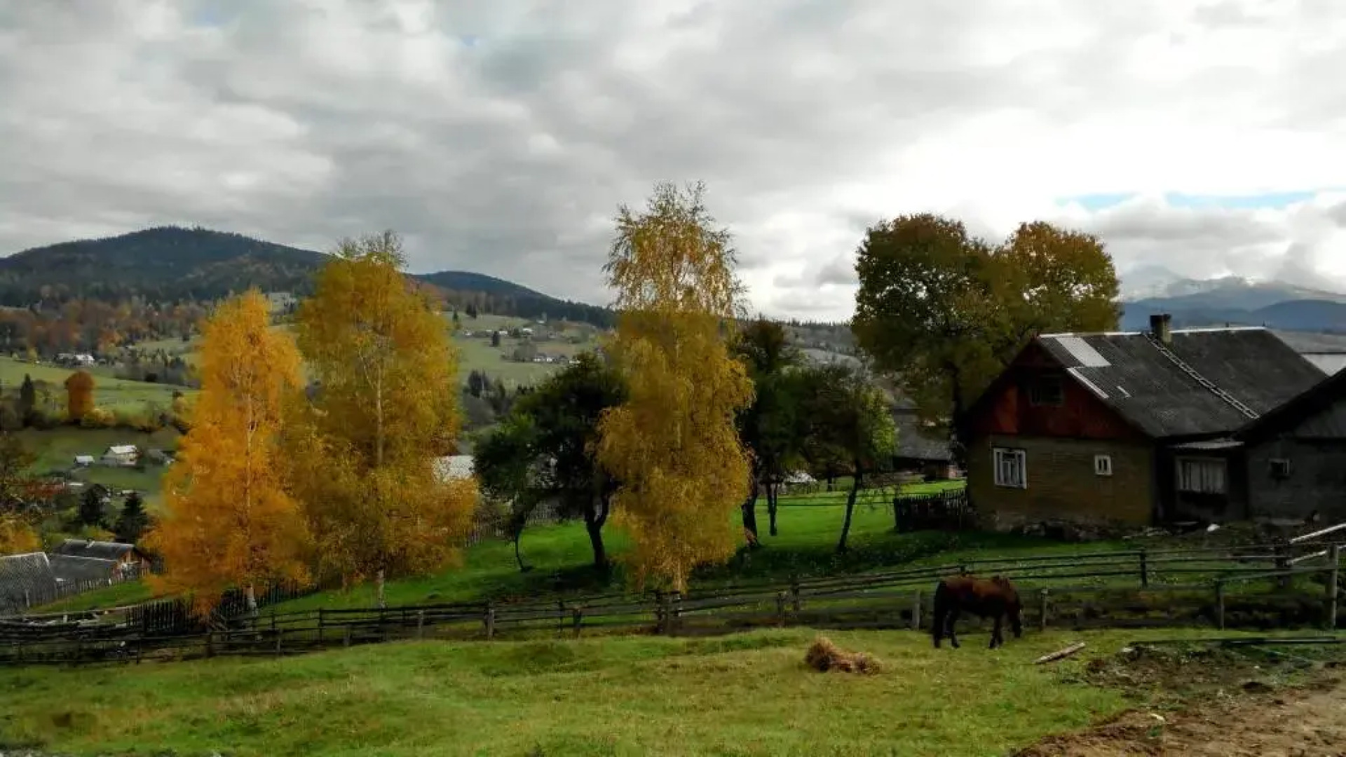 Cottage Ozerniy
