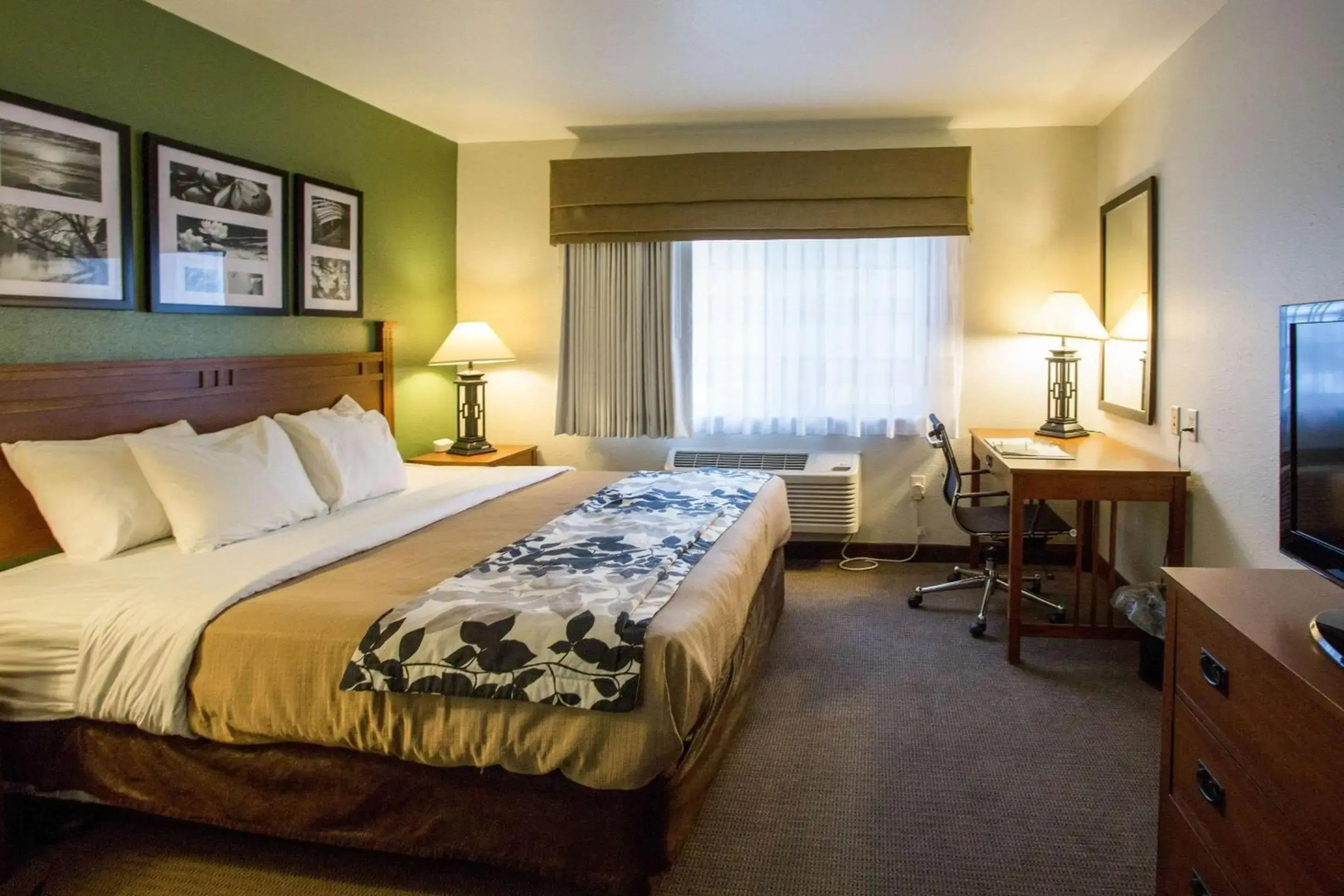 Sleep Inn & Suites Conference Center Eau Claire North